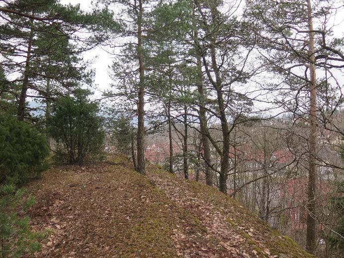 I nord grenser planområdet mot Tveten skoleområde.