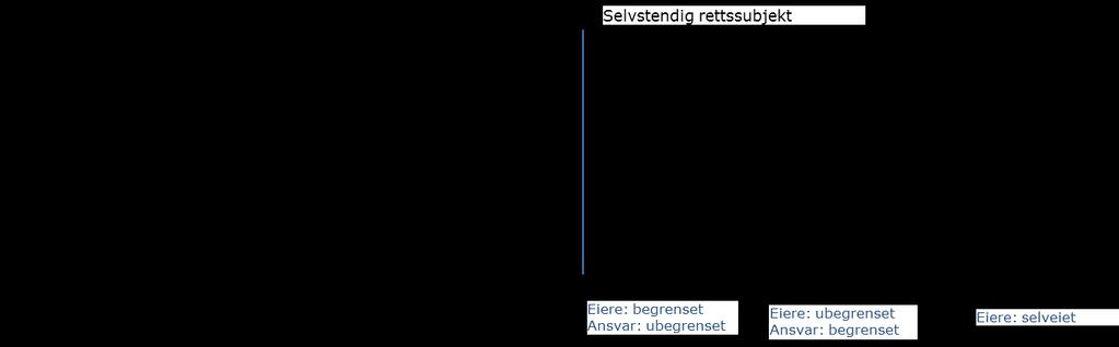 Stiftelser Stiftelser eier seg selv og har ikke eierorganer tilsvarende det selskapene har, og kan derfor ikke styres av andre.