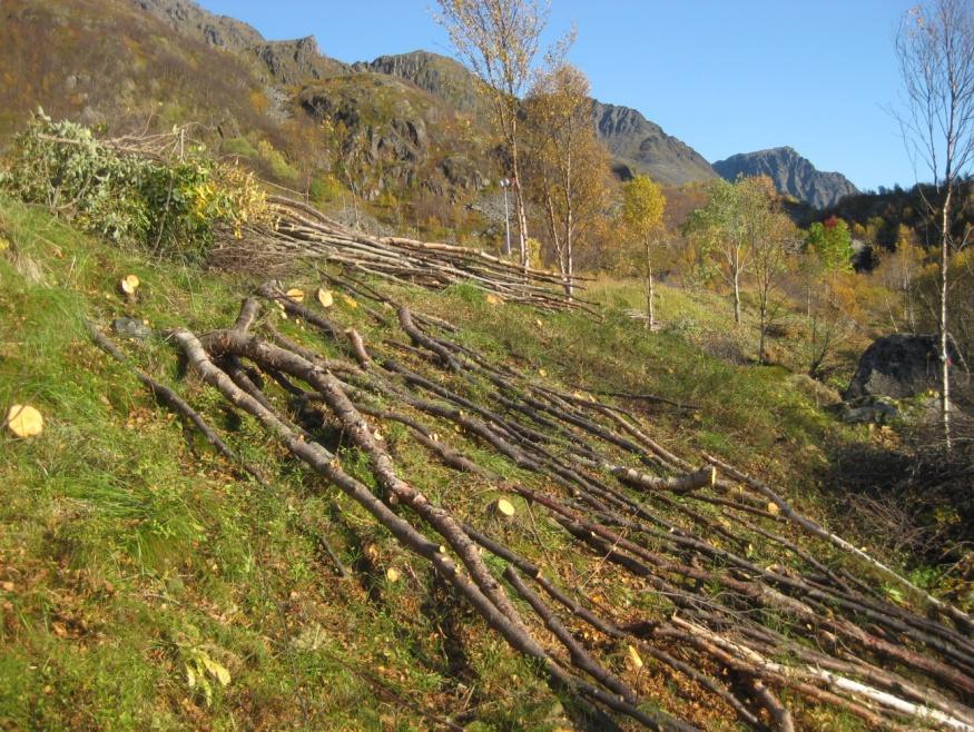 Side53 8(6) meldinger om tiltak: Garasje, naust, veranda, tilbygg hytte, utskifting slamavskiller. 8(7) søknader om bruksendring av bolig. 6(11) søknader om deling av eiendom.