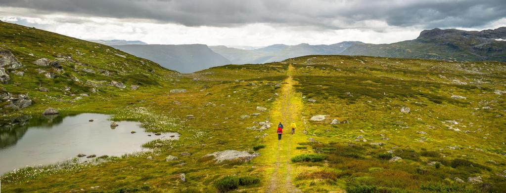 Veien til Europa Nostra prisen i 2017 Samarbeidsprosjektet: VNK Statens vegvesen S&F og (VINK)Oppland