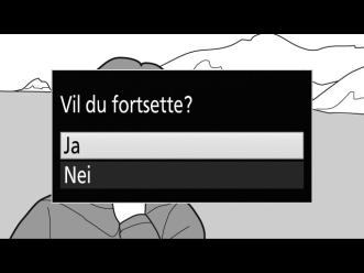 4 Lagre kopien. Marker Ja og trykk på J for å lage en JPEG-kopi med fin kvalitet (0 77) av det valgte bildefeltet.