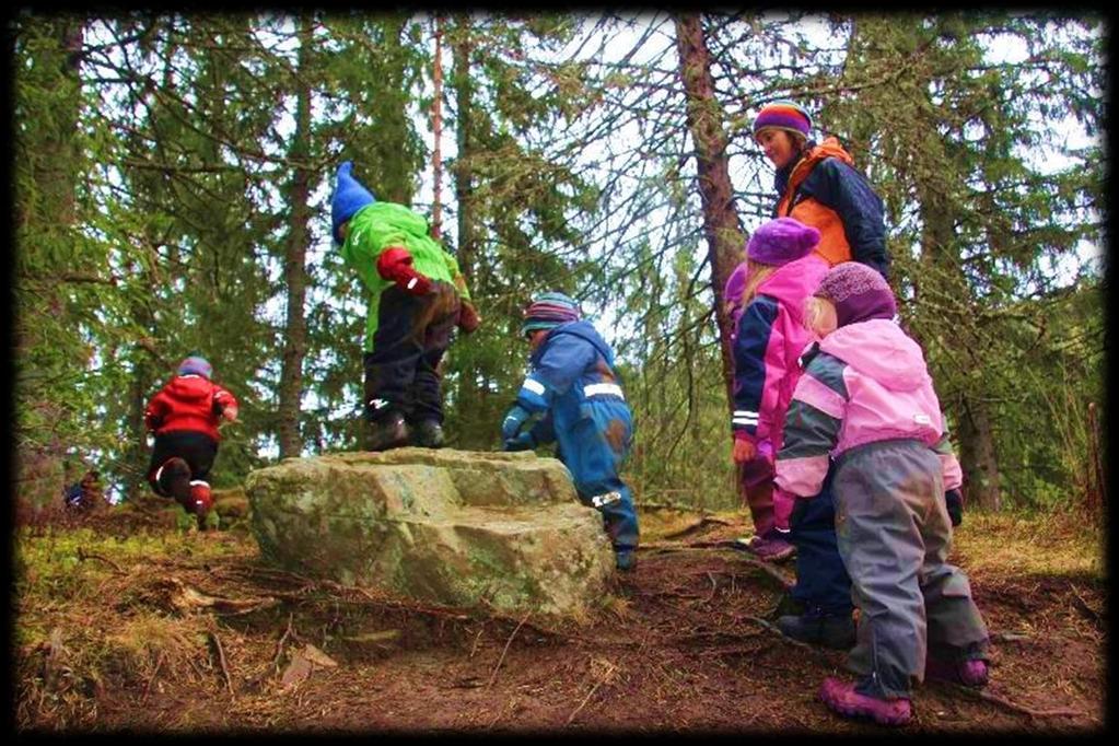 DOKUMENTASJON PEDAGOGISK