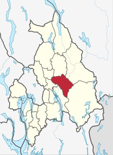 4. Caset. Sørum kommune og Sørvald bo- og behandlingssenter 4.1 Innledning Innledningsvis fremstilles en del fakta om Sørum kommune og organisering av de kommunale tjenestene.