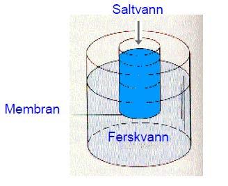 e) Fusjon av hydrogen til helium skjer ved høy temperatur (flere millioner grader) og høyt trykk. Betingelsen for fusjon er til stede innenfor omkring 0.3 solradier fra solas sentrum.