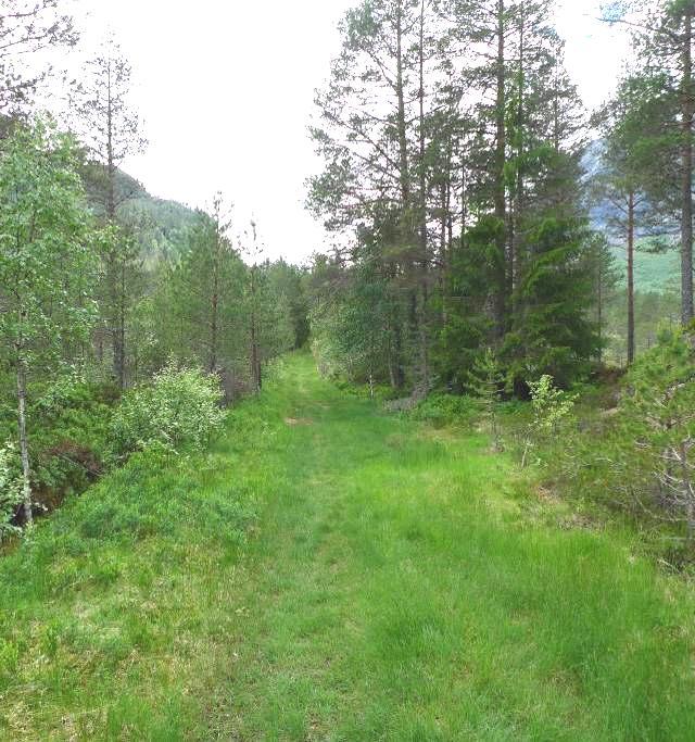 a) b) Figur 30 SEFRAK-registrerte bygningar på Kjellstad/Tronstad og Tryggestad Gjennom dalføret går også den Trondhjemske postvei.