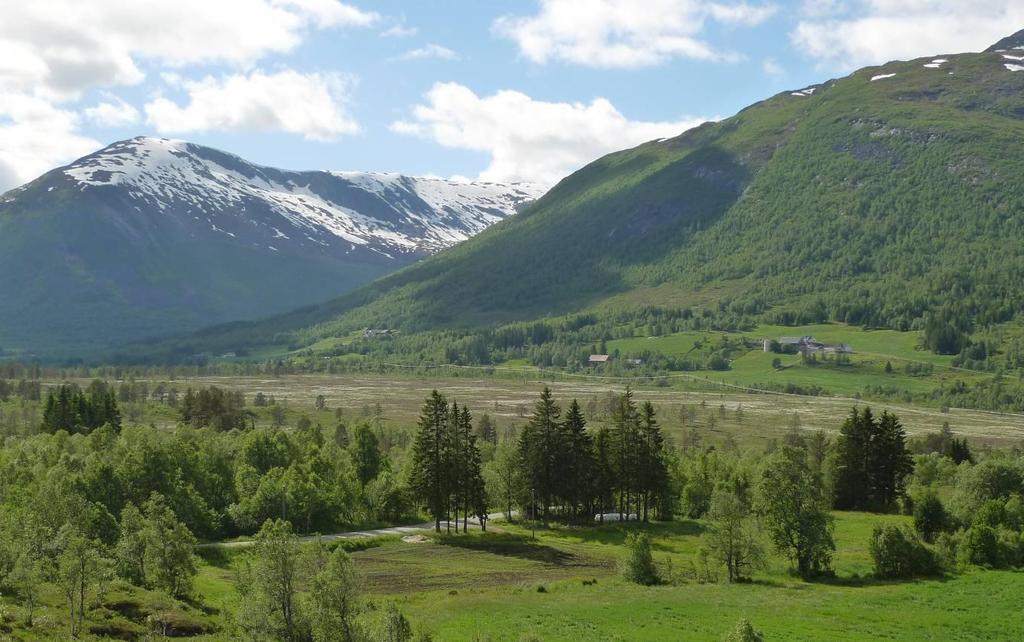 Figur 32 Gråsteinmyra med gardane Kjellstadli