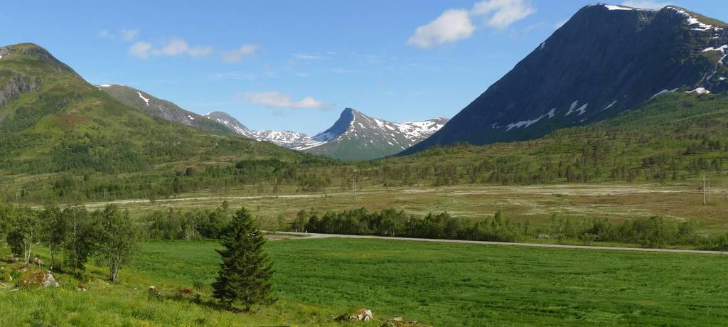 Sett frå munninga av Røyrhusdalen.