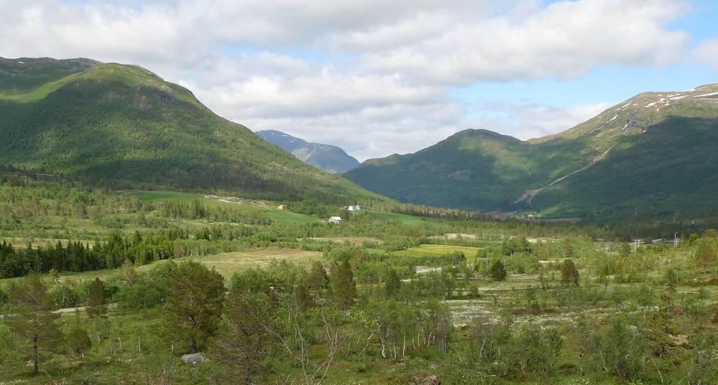 Vidare til Tronstad opnar Langedalen seg, og når ein kjem til Tronstad er store deler av dei flate markane i dalbotnen dyrka opp.