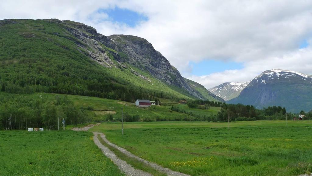 Arealet i dalbotnen her er i liten grad nytta til jordbruk, mellom anna på grunn av hyppige skred frå fjellsidene på vestsida. Vegetasjonen er prega av lauvskog og furu.