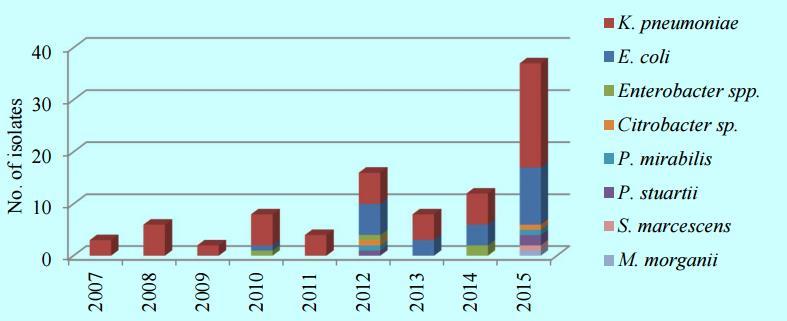 Figur 1.3 ESBLKARBA produserende slekter i familien Enterobacteriaceae påvist i norske kliniske prøver (2007-2015) (NORM/NORM-VET 2016). Figur 1.