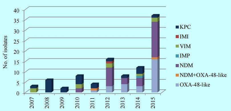 Særlig NDM har hatt en foruroligende global spredning som derved har bidratt til stor bekymring de siste årene. I India er E. coli med NDM-1 en av de vanligste årsakene til diaré (Bajaj et al. 2016).