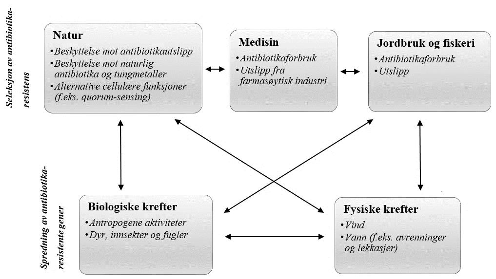 forskjellige typer miljø (Allen et al. 2010).