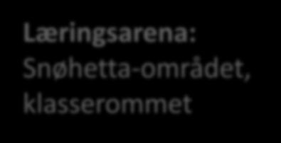 Læringsarena: