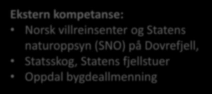 naturoppsyn (SNO) på Dovrefjell,