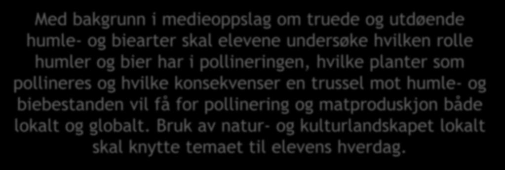 Med bakgrunn i medieoppslag om truede og utdøende humle- og biearter skal elevene undersøke hvilken rolle humler og bier har i pollineringen, hvilke planter som pollineres og hvilke