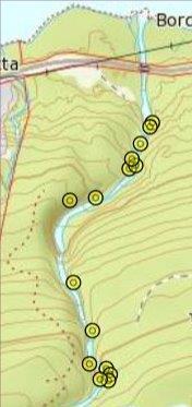 Naturvernforbundet har elles gått ein del av vassdraget 9.1.2017, så det ligg no inne ytterlegare 15 observasjonar, alle saman ganske nær elva. Gubbeskjegg 9.1.2017. I gamalskog av høg verdi vil ein ofte kunne finne større mengde av gubbeskjegg.