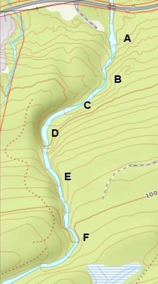 Side 8 veldig høge (B). På vestsida går ein over frå planta granskog til opphaveleg furuskog. Bekkedalen blir så noko vidare (C), og det er ei flate som mest kan karakteriserast som flaummark.