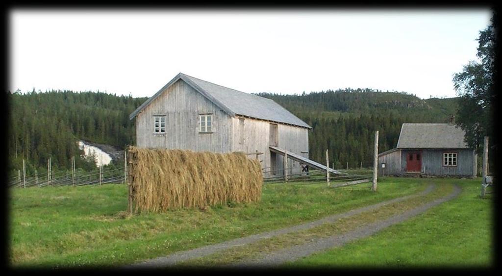 landbruk Næring