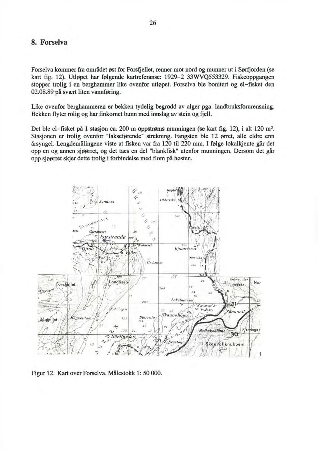 26 8. Forselva Forselva kommer fra området øst for Forsfiellet, renner mot nord og munner ut i Sørfiorden (se kart fig. 12). Utløpet har følgende kartreferanse: 1929-2 33WVQ553329.