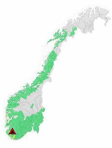 VTS Snøskred: søkeord snøras Steinskred: søkeord steinras Løsmasseskred: søkeord jordras