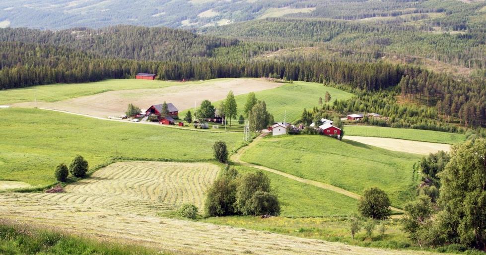 Formål i dag Prosjektet Kompetent bonde Begrepene kunnskap, kompetanse og