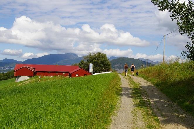 Studier av enkelttilbud Mål: forbedre metoder