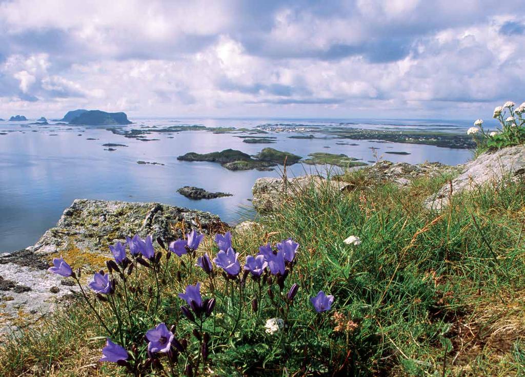 Velkommen til Røst Helt ytterst i Lofoten ti mil ut i havet fra fastlandet ligger øyriket Røst.