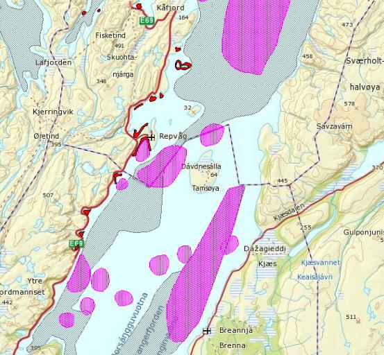Figur 5 Fiskeriområder i nærheten av Repvåg. Rosa skravering viser aktive fiskeplasser. Grå skravering viser passive fiskeplasser. Røde områder viser låssettingsplasser (kilde: www.fiskeridir.no). 2.