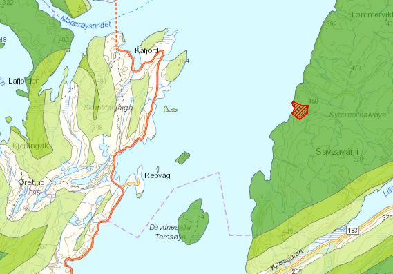 2 Naturmiljø 2.1 Verneområder Nærmeste verneområde til Repvåg er Djupvika naturreservat (Figur 2).