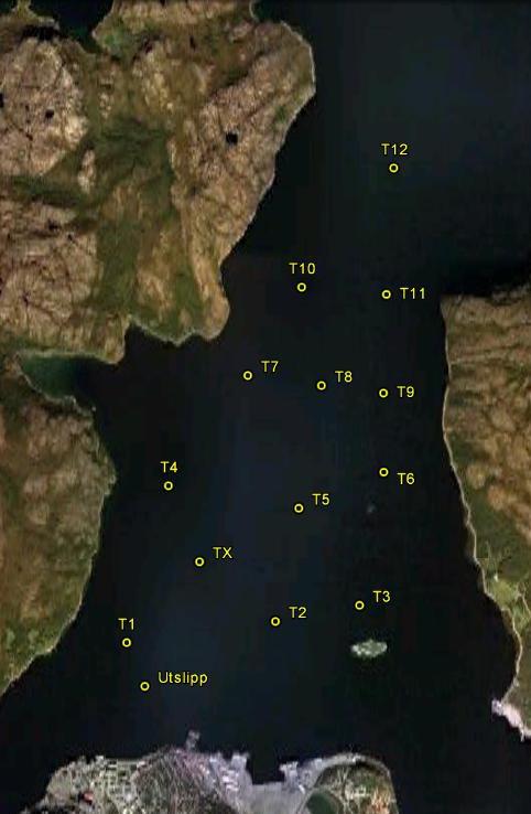 S-grupper tilsvarer ulike snitt i fjordsystemet. Det skilles mellom snitt langs (L, i hovedsak i nord-syd retning) og på tvers av fjorden (X, i hovedsak i vest-øst retning).