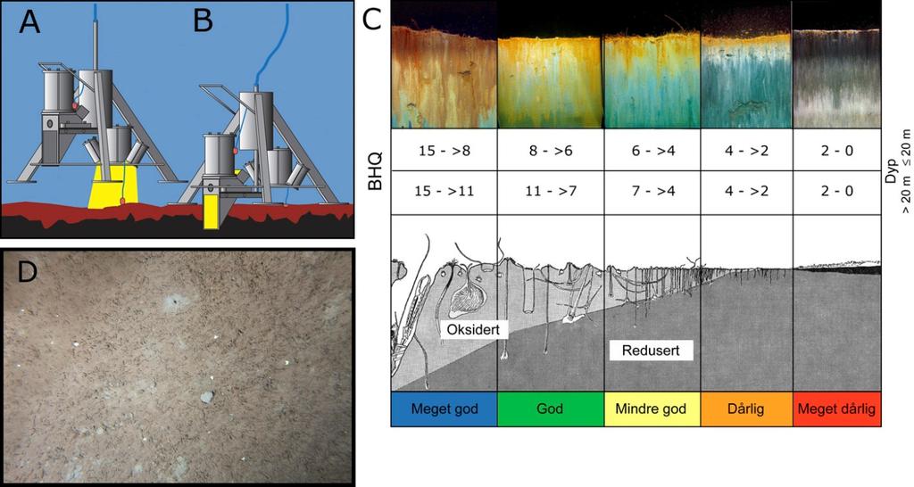 3. Sedimentprofilfotografering (SPI) 3.1 Metode Sedimentprofilfotografering (SPI) er en rask metode for visuell kartlegging og klassifisering av sediment og bløtbunnfauna.
