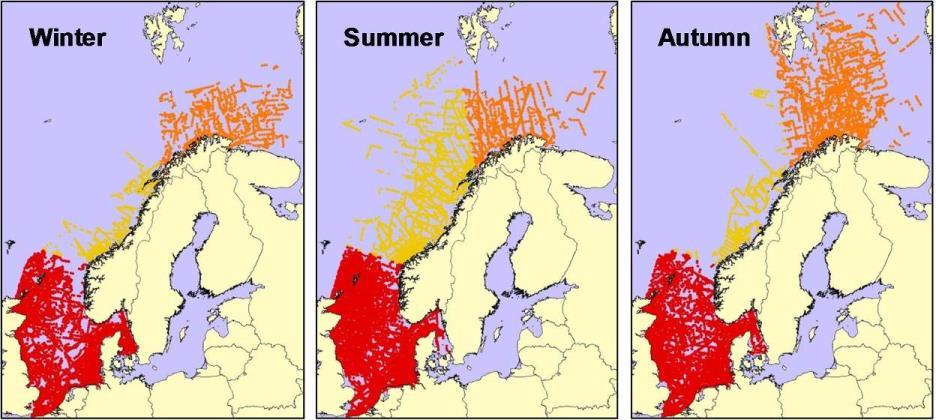 Pelagiske sjøfugl Data er blitt samlet inn etter standard metode for linjetransekter. Fuglene blir talt fra 6-10 m over havoverflaten under en konstant fart av ca. 20 km/t.