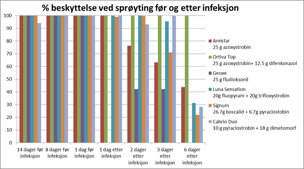 Alle selleriplantene (245 planter) ble smittet med en sporesuspensjon med 100.000 sporer pr plante (5.000 sporer/ml og 20 ml/ plante = 4,9 liter sporesuspensjon).