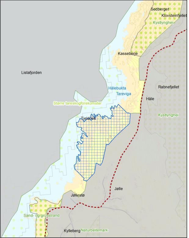 spesielle strandtyper og geologiske,