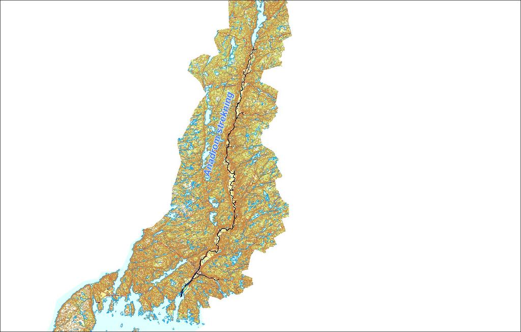 Utløpskommune Lindesnes Anadrome innsjøer Nei Anadrom strekning (km) 50.