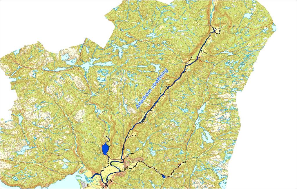 Utløpskommune Anadrome innsjøer Anadrom strekning (km) Reguleringer Kultivering Fangst sportsfiske (antall) 2016 Gytebestandsmål (kg hunnfisk) Lyngdal Ja 42.