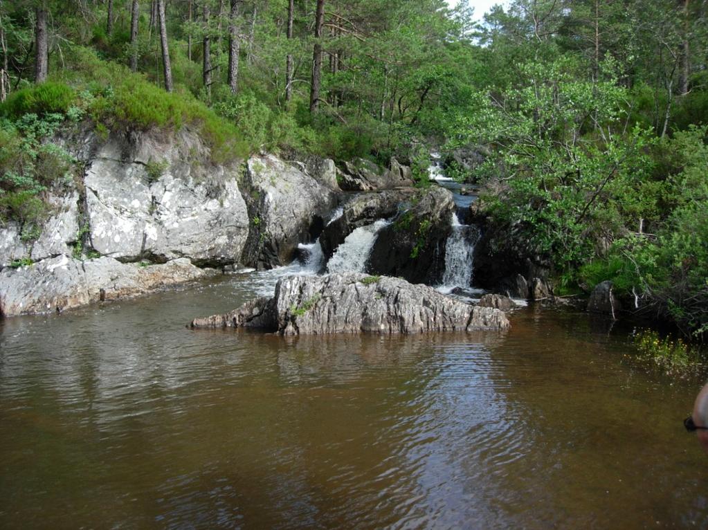 Figur 5.2. Ein høl 80 m nedom staden der luten kom inn i elva (område 3). Her vart eit areal på 400 m2 overfiska med elektrisk fiskeapparat 3. juli 2008, og det vart ikkje funne fisk.