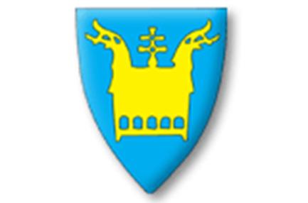 Sør-Aurdal kommune Tjenesteleder