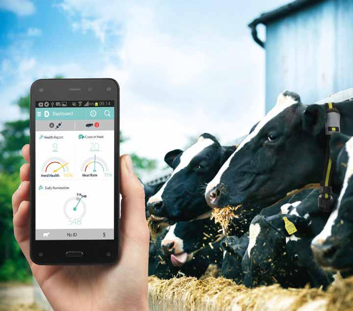 HEALTHYCOW 24 Heatime RuminAct kan koples til internettportalen HealthyCow 24 (HC24), som gir deg tilgang til Heatime-systemet uavhengig av hvor du befinner deg.