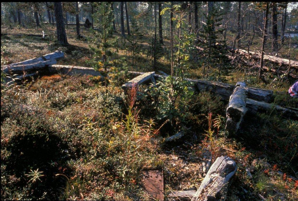 Nyere historisk bruk - første