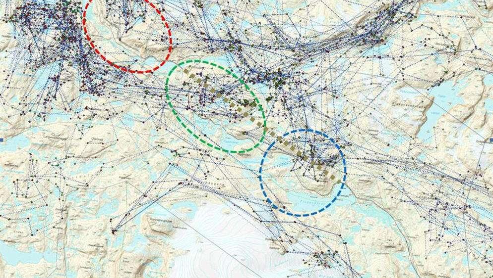 Oversyn over GPS-data som er samla inn i Finseområdet. Figuren viser data innsamla med 6 timers intervall og data frå ulike dyr har ulik farge.