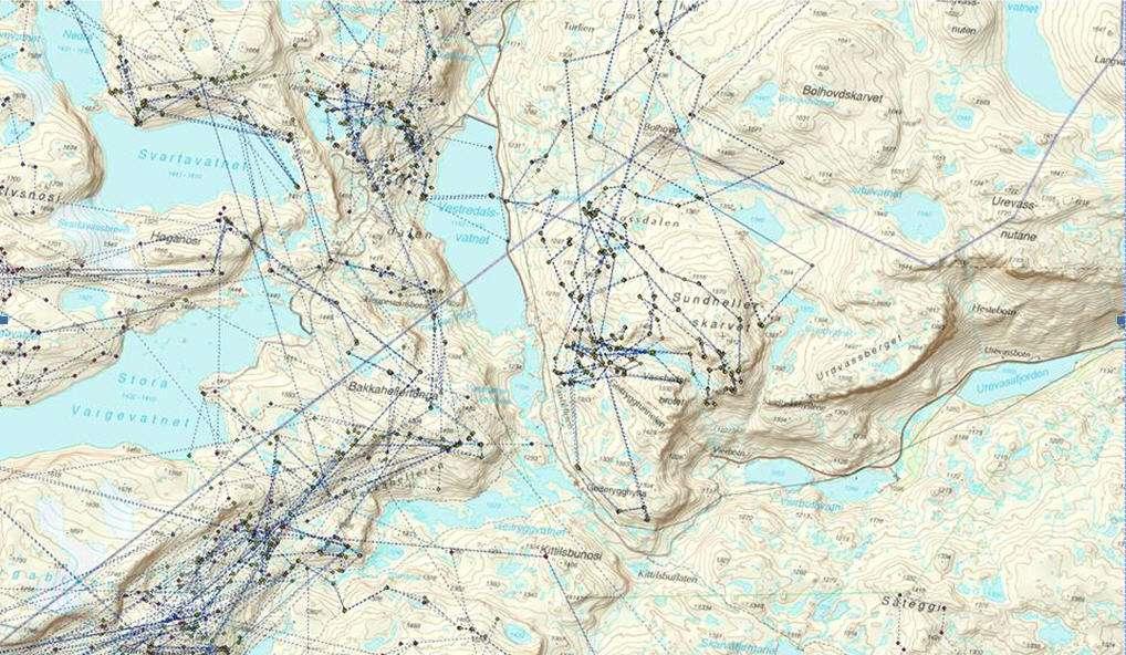 Gjennom dei siste 20-30 åra har Geitryggen framstått som ein barriere for villrein og utgjer ei grense mellom sone 1 og 2. Data frå GPS-prosjektet er i samsvar med dette.