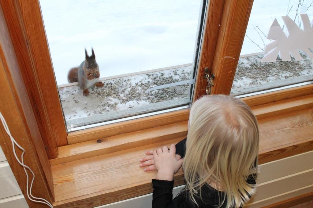 Fjellgardane barnehage sitt innhald omsorg, leik, læring og danning Barnehagen sitt innhald skal byggje på eit heilskapleg læringssyn, der omsorg, leik, læring og danning er sentrale omgrep.