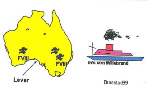 von Willebrand sykdom Type 3: Svært liten mengde av von Willebrand faktor, både aktivitet og antigen, fører også