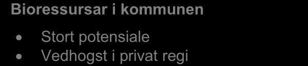 Det er antatt at energisentralen har potensiale til å levere til fleire brukarar enn dei fem offentlege bygga som er planlagd tilknytt pr i dag.