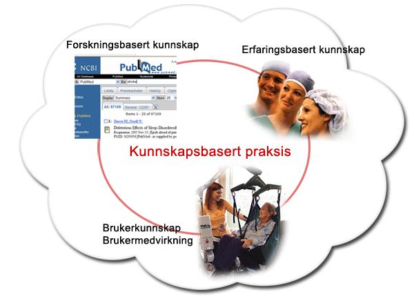 2.3 Kunnskapsbasert sykepleie Helsepersonell er pålagt å yte en kunnskapsbasert praksis gjennom lovverket og yrkesetiske retningslinjer (Helsepersonelloven, 1999; Pasientrettighetsloven, 1999;