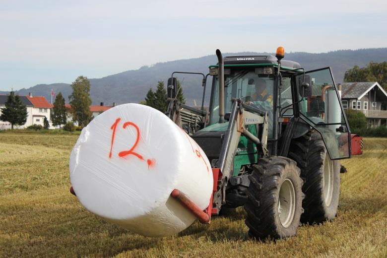 Resultater Avlingene varierte fra 370 695 kg TS/daa (Tabell 4). Resultatene viser dels lave avlinger og store avlingsvariasjoner mellom feltene.