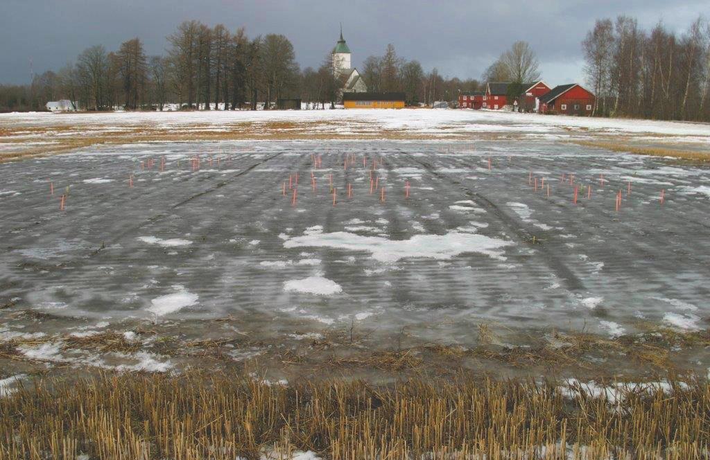 Figur 2. Våre studier viser at nedbrytingen av soppmidler går langsomt i forsøksjorda på Kvithamar i Stjørdal. Snøsmeltingsperioden kan føre til høyere utlekking av midlene enn i varmere klimastrøk.