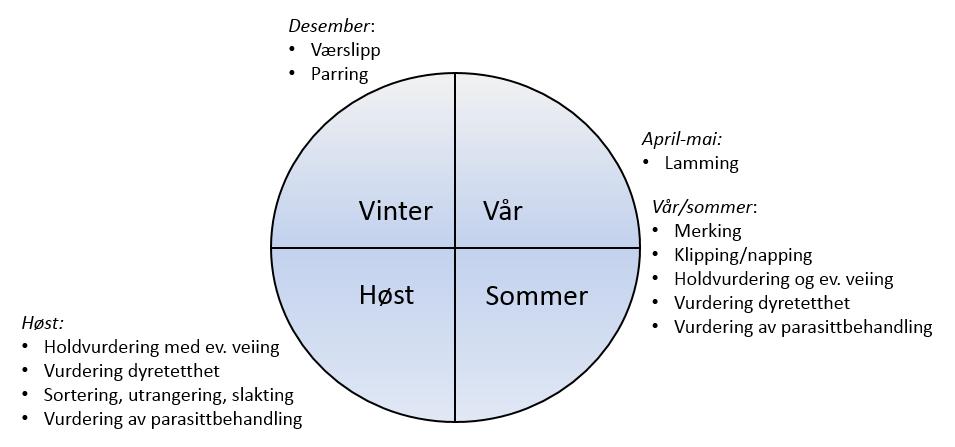 Har dere ønsker eller mål for de neste 3-5 år som det skal tas hensyn til? Har ønske om å øke sauetallet. Har planer om å bygge opp en liten geiteflokk.