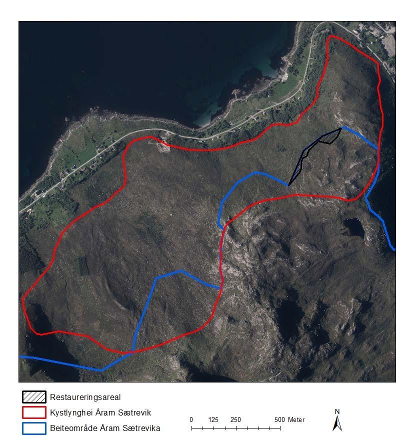 Figur 3. Ortofoto som viser lokaliteten Åram, Sætrevik, som ligger i Naturbase som kystlynghei (rød grense).